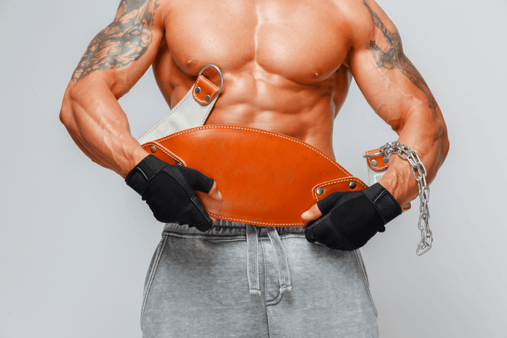 Detailed Explanation on Working of Ab Belt Does AB Belt Work