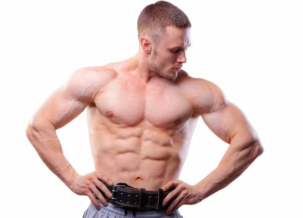 What Is Abs Workout Belts? A Complete Explained Abs Workout Belt