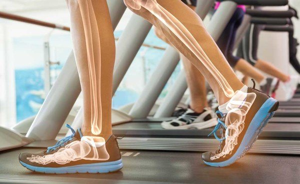 The Ultimate Revelation of What Muscles Does the Treadmill Work what muscles does the treadmill work